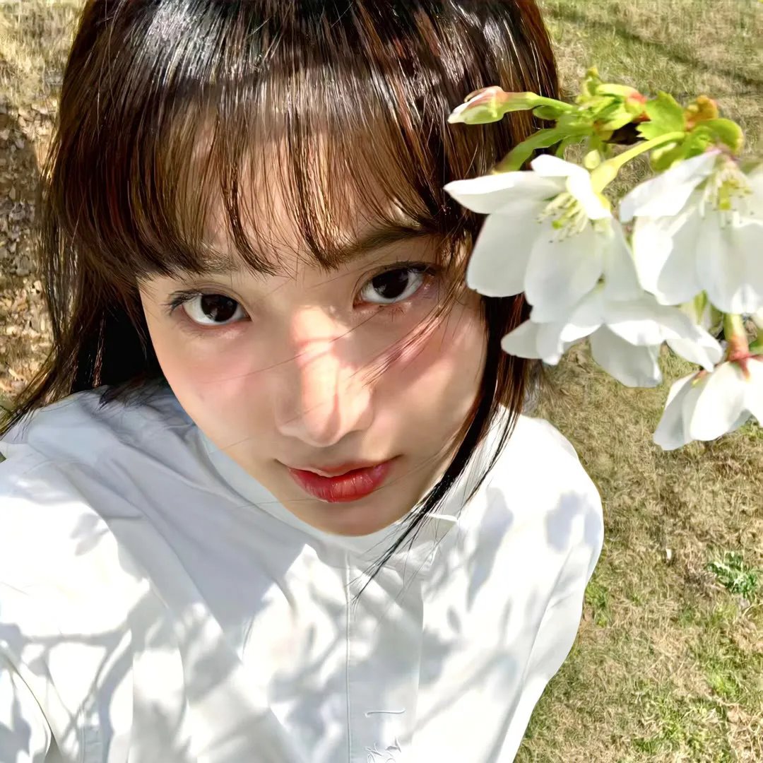百合与直觉